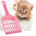 CAT SCOOP | EXCARTBD.COM